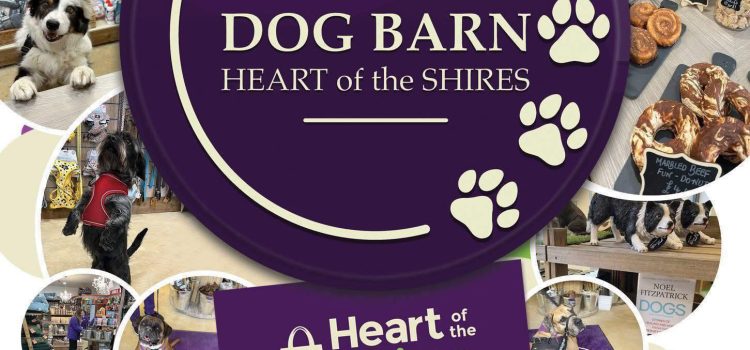 Every Dog Has It’s Day