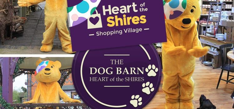 Pudsey at The Dog Barn