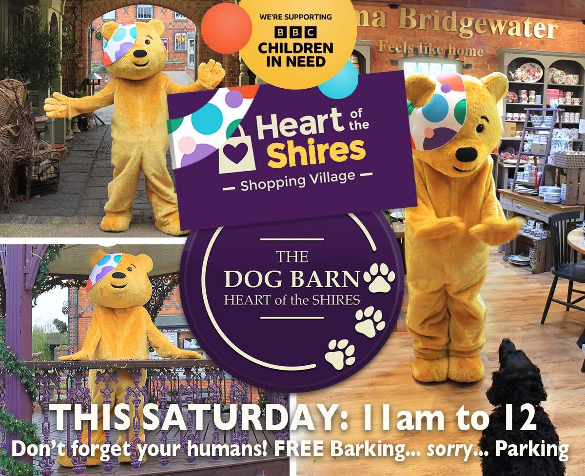 pudsey at Heart of the Shires