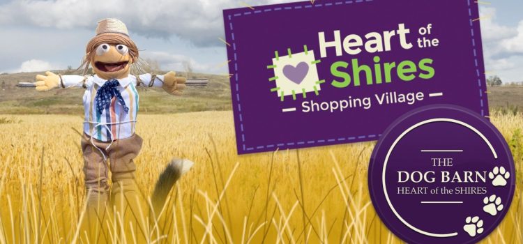 Scarecrows at The Dog Barn?