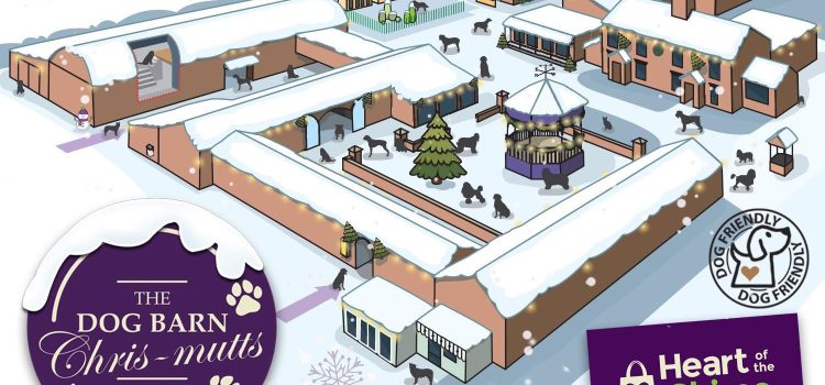 The Dog Barn at Christmas