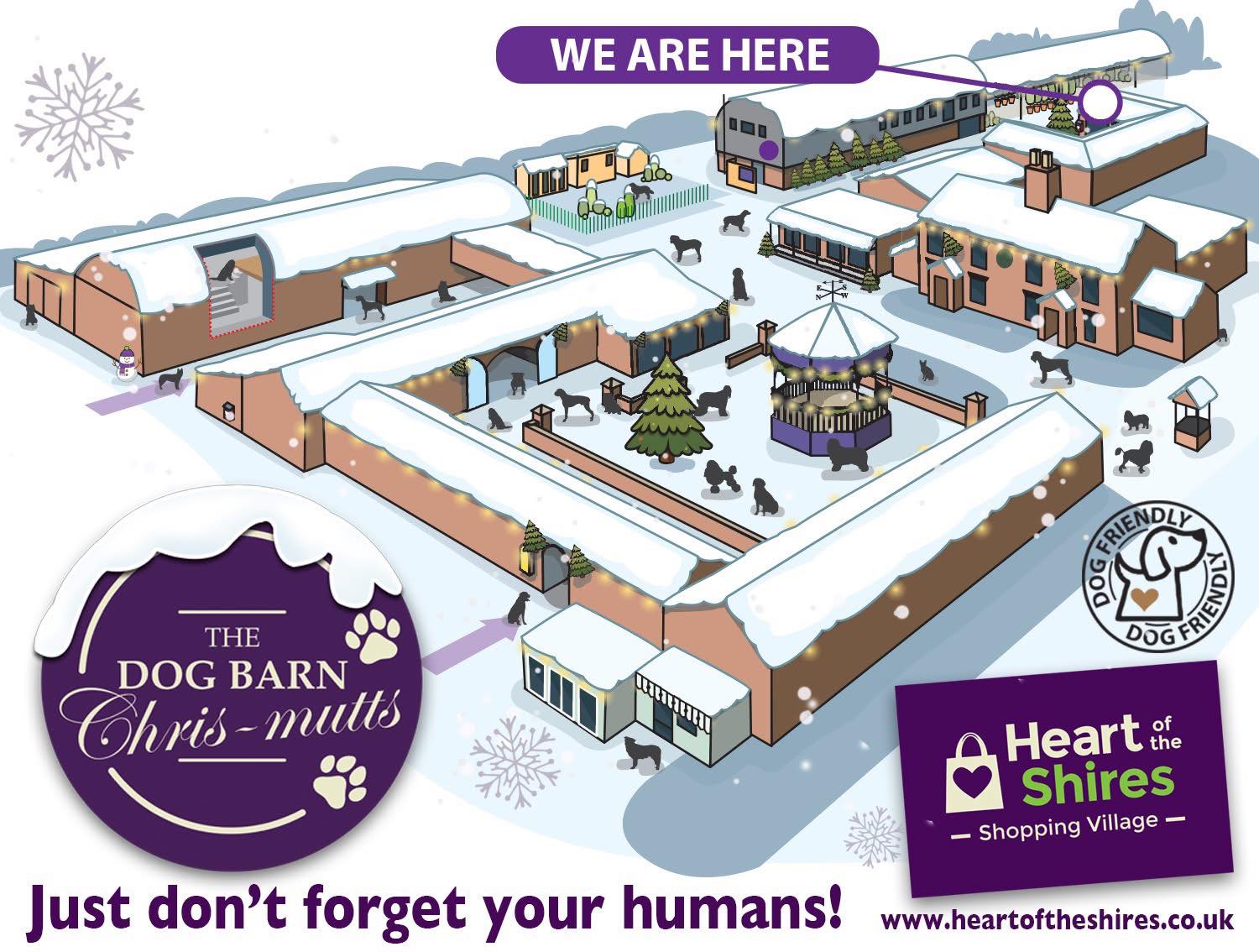 the dog barn at christmas