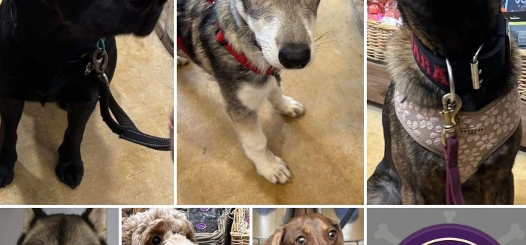 Look Who Pupped In…