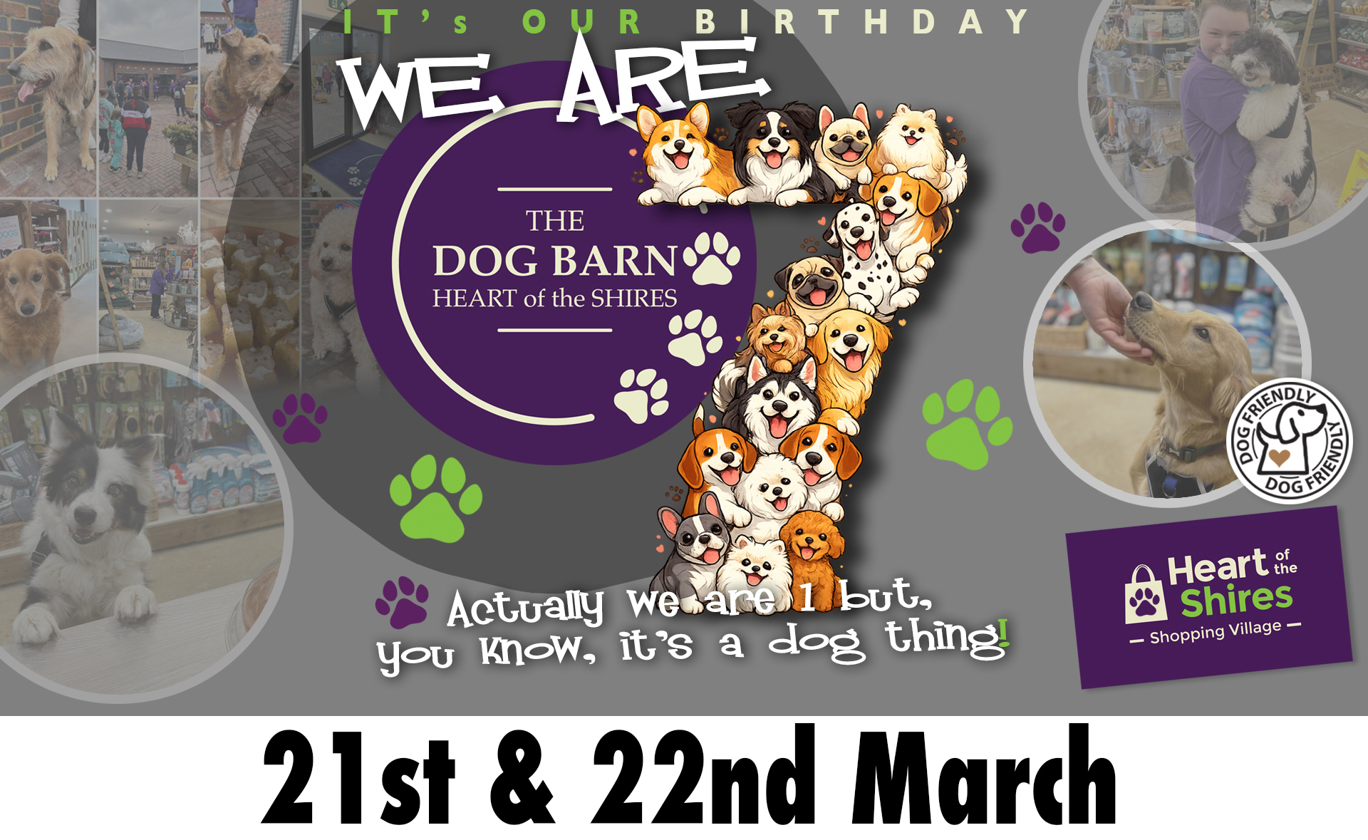 The Dog Barn Birthday at Heart of the Shires