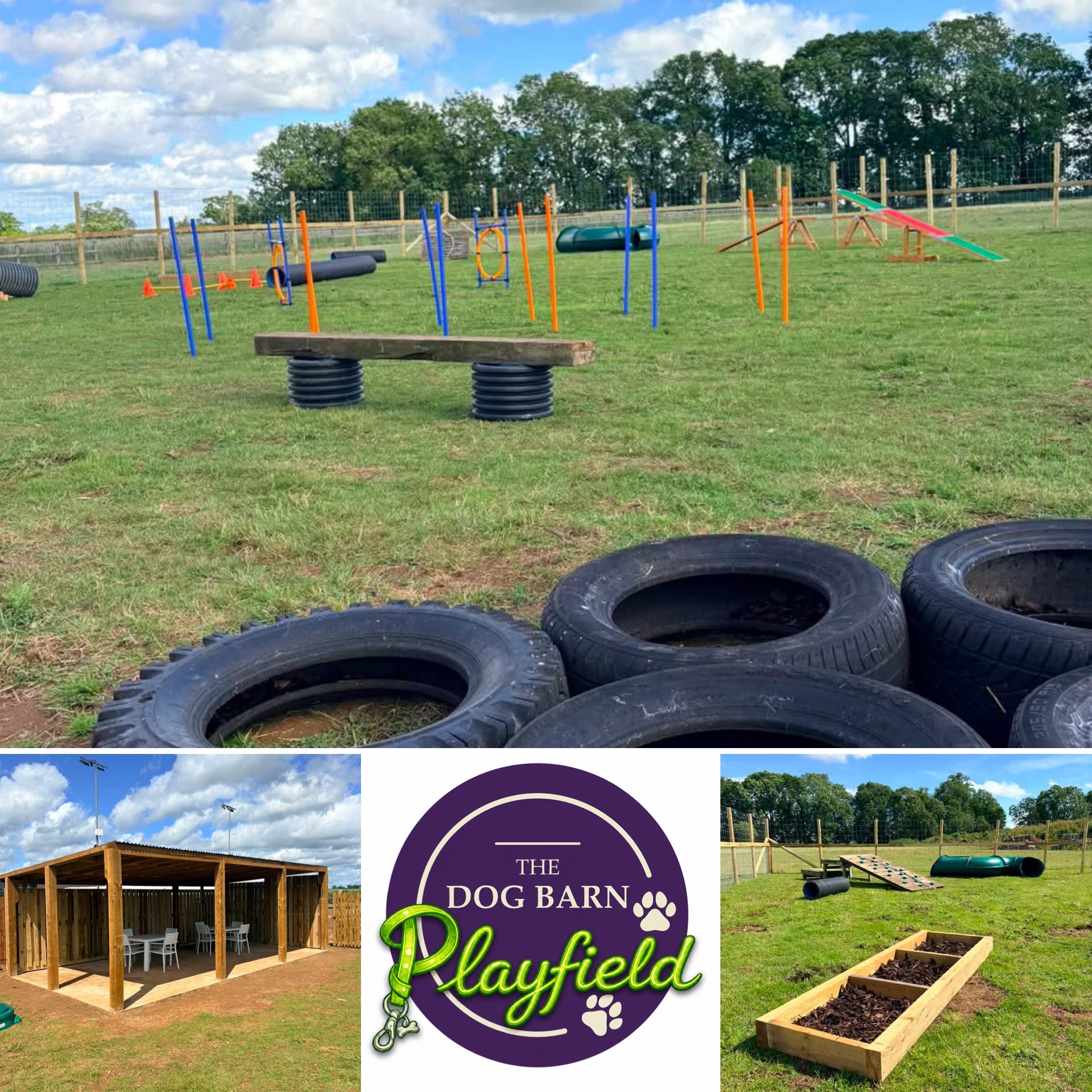 dog playfield at heart of the shires