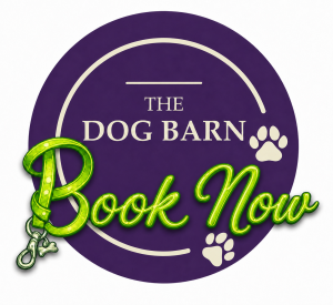 book dog barn events
