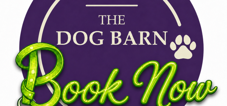 Book Now! Book Now!